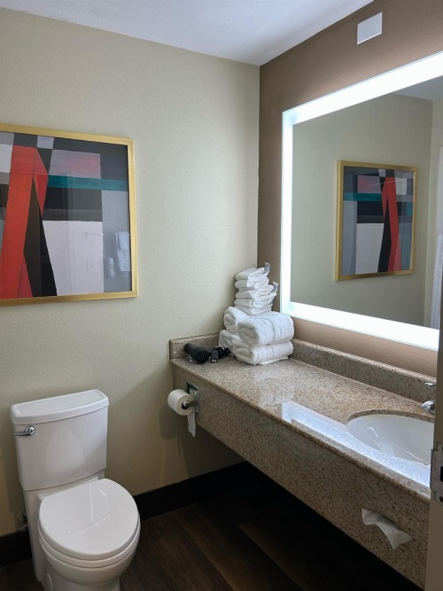Comfort Suites Columbia at Harbison image 2