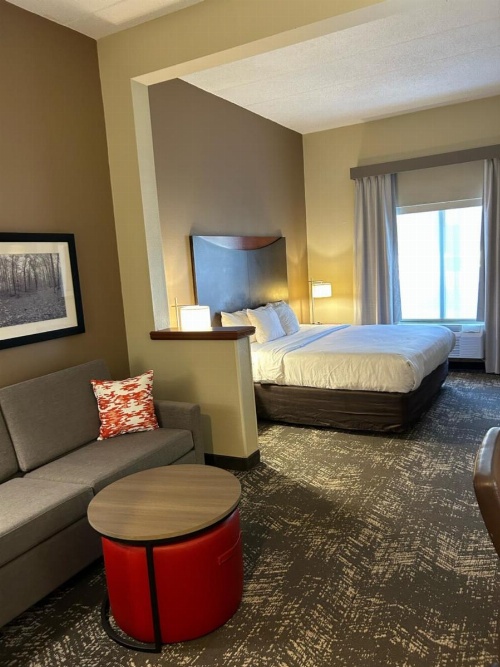 Comfort Suites Columbia at Harbison image 4